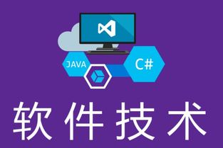 湖南中專(zhuān)軟件技術(shù)畢業(yè)生升學(xué)指南 聚焦軟件外包服務(wù)的對(duì)口單招學(xué)校